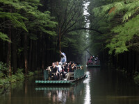 Tourists are riding a bamboo raft in the Golden Lake Water Forest Park in Huai'an, China, on June 22, 2024. (