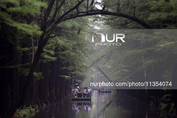 Tourists are riding a bamboo raft in the Golden Lake Water Forest Park in Huai'an, China, on June 22, 2024. 