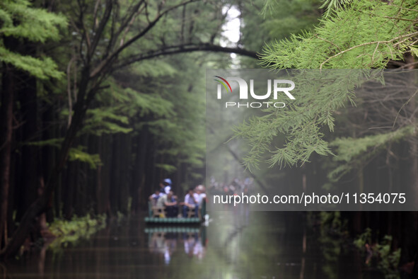 Tourists are riding a bamboo raft in the Golden Lake Water Forest Park in Huai'an, China, on June 22, 2024. 