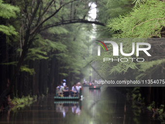 Tourists are riding a bamboo raft in the Golden Lake Water Forest Park in Huai'an, China, on June 22, 2024. (