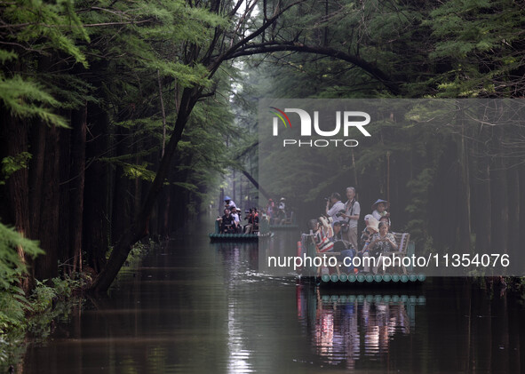 Tourists are riding a bamboo raft in the Golden Lake Water Forest Park in Huai'an, China, on June 22, 2024. 