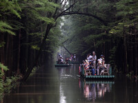 Tourists are riding a bamboo raft in the Golden Lake Water Forest Park in Huai'an, China, on June 22, 2024. (