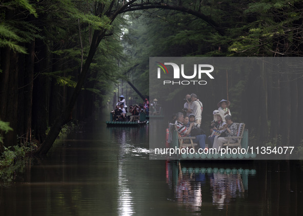 Tourists are riding a bamboo raft in the Golden Lake Water Forest Park in Huai'an, China, on June 22, 2024. 