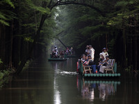 Tourists are riding a bamboo raft in the Golden Lake Water Forest Park in Huai'an, China, on June 22, 2024. (