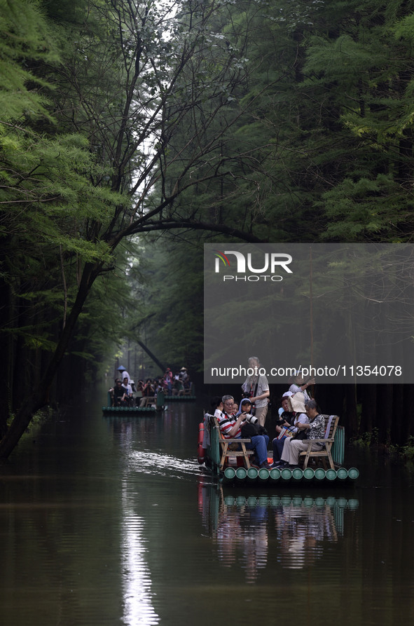 Tourists are riding a bamboo raft in the Golden Lake Water Forest Park in Huai'an, China, on June 22, 2024. 