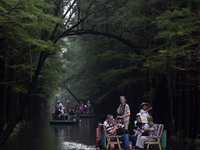 Tourists are riding a bamboo raft in the Golden Lake Water Forest Park in Huai'an, China, on June 22, 2024. (