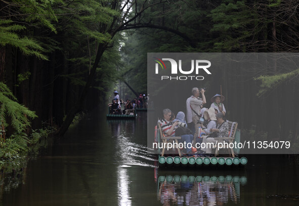 Tourists are riding a bamboo raft in the Golden Lake Water Forest Park in Huai'an, China, on June 22, 2024. 