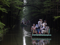 Tourists are riding a bamboo raft in the Golden Lake Water Forest Park in Huai'an, China, on June 22, 2024. (