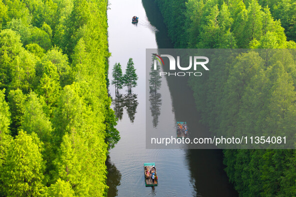 Tourists are riding a bamboo raft in the Golden Lake Water Forest Park in Huai'an, China, on June 22, 2024. 