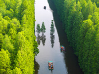 Tourists are riding a bamboo raft in the Golden Lake Water Forest Park in Huai'an, China, on June 22, 2024. (