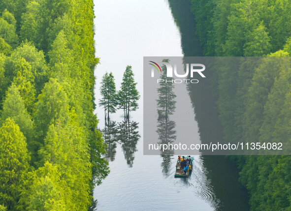 Tourists are riding a bamboo raft in the Golden Lake Water Forest Park in Huai'an, China, on June 22, 2024. 