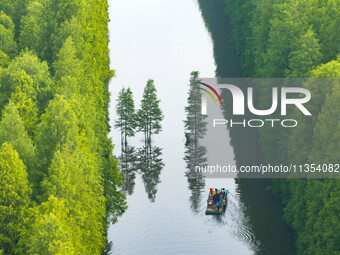 Tourists are riding a bamboo raft in the Golden Lake Water Forest Park in Huai'an, China, on June 22, 2024. (