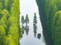 Tourists are riding a bamboo raft in the Golden Lake Water Forest Park in Huai'an, China, on June 22, 2024. (