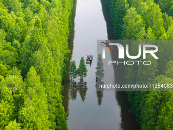 Tourists are riding a bamboo raft in the Golden Lake Water Forest Park in Huai'an, China, on June 22, 2024. (