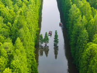 Tourists are riding a bamboo raft in the Golden Lake Water Forest Park in Huai'an, China, on June 22, 2024. (