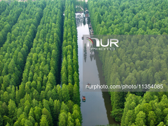 Tourists are riding a bamboo raft in the Golden Lake Water Forest Park in Huai'an, China, on June 22, 2024. 