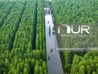 Tourists are riding a bamboo raft in the Golden Lake Water Forest Park in Huai'an, China, on June 22, 2024. (