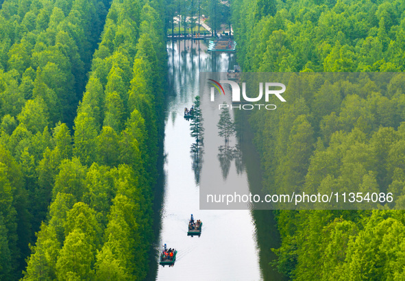 Tourists are riding a bamboo raft in the Golden Lake Water Forest Park in Huai'an, China, on June 22, 2024. 