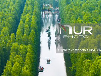 Tourists are riding a bamboo raft in the Golden Lake Water Forest Park in Huai'an, China, on June 22, 2024. (