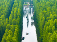 Tourists are riding a bamboo raft in the Golden Lake Water Forest Park in Huai'an, China, on June 22, 2024. (