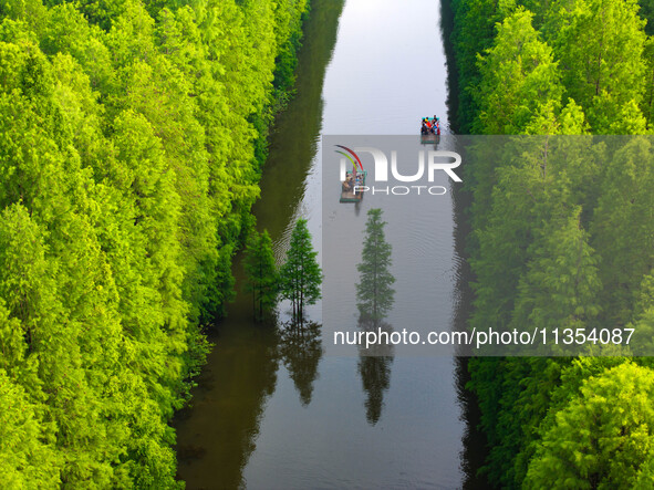 Tourists are riding a bamboo raft in the Golden Lake Water Forest Park in Huai'an, China, on June 22, 2024. 