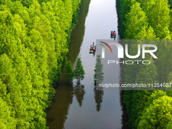 Tourists are riding a bamboo raft in the Golden Lake Water Forest Park in Huai'an, China, on June 22, 2024. (