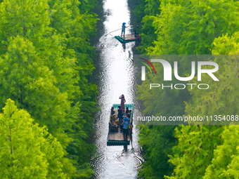 Tourists are riding a bamboo raft in the Golden Lake Water Forest Park in Huai'an, China, on June 22, 2024. (