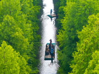 Tourists are riding a bamboo raft in the Golden Lake Water Forest Park in Huai'an, China, on June 22, 2024. (