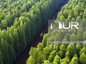 Tourists are riding a bamboo raft in the Golden Lake Water Forest Park in Huai'an, China, on June 22, 2024. (