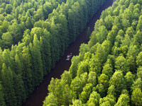 Tourists are riding a bamboo raft in the Golden Lake Water Forest Park in Huai'an, China, on June 22, 2024. (