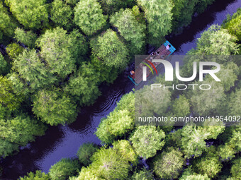 Tourists are riding a bamboo raft in the Golden Lake Water Forest Park in Huai'an, China, on June 22, 2024. (