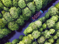 Tourists are riding a bamboo raft in the Golden Lake Water Forest Park in Huai'an, China, on June 22, 2024. (