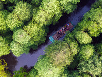 Tourists are riding a bamboo raft in the Golden Lake Water Forest Park in Huai'an, China, on June 22, 2024. (