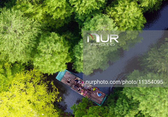 Tourists are riding a bamboo raft in the Golden Lake Water Forest Park in Huai'an, China, on June 22, 2024. 