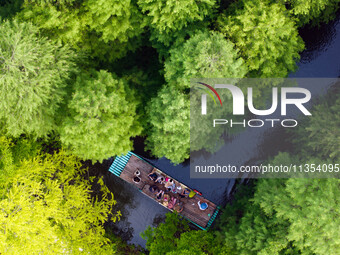 Tourists are riding a bamboo raft in the Golden Lake Water Forest Park in Huai'an, China, on June 22, 2024. (