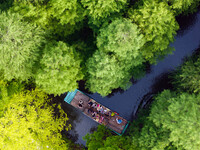 Tourists are riding a bamboo raft in the Golden Lake Water Forest Park in Huai'an, China, on June 22, 2024. (