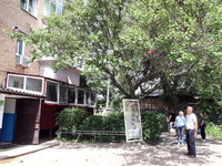 People are standing outside an apartment block after a Russian missile attack in Vasylkiv, Ukraine, on June 23, 2024. On Sunday morning, Jun...