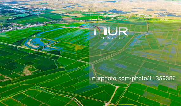 A view is overlooking the Yinchuan section of the Yellow River in Yinchuan, capital of Northwest China's Ningxia Hui autonomous region, in W...