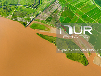 A view is overlooking the Yinchuan section of the Yellow River in Yinchuan, capital of Northwest China's Ningxia Hui autonomous region, in W...