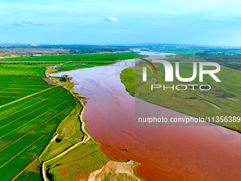 A view is overlooking the Yinchuan section of the Yellow River in Yinchuan, capital of Northwest China's Ningxia Hui autonomous region, in W...