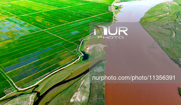 A view is overlooking the Yinchuan section of the Yellow River in Yinchuan, capital of Northwest China's Ningxia Hui autonomous region, in W...