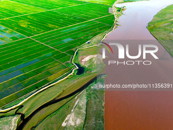 A view is overlooking the Yinchuan section of the Yellow River in Yinchuan, capital of Northwest China's Ningxia Hui autonomous region, in W...