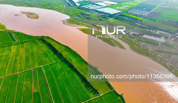 A view is overlooking the Yinchuan section of the Yellow River in Yinchuan, capital of Northwest China's Ningxia Hui autonomous region, in W...