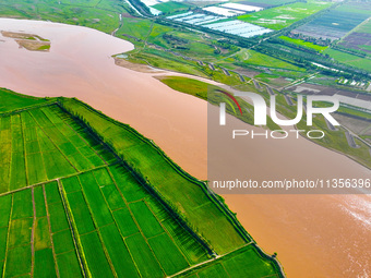 A view is overlooking the Yinchuan section of the Yellow River in Yinchuan, capital of Northwest China's Ningxia Hui autonomous region, in W...