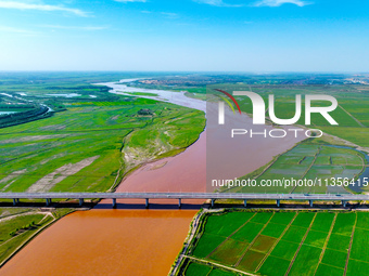 A view is overlooking the Yinchuan section of the Yellow River in Yinchuan, capital of Northwest China's Ningxia Hui autonomous region, in W...