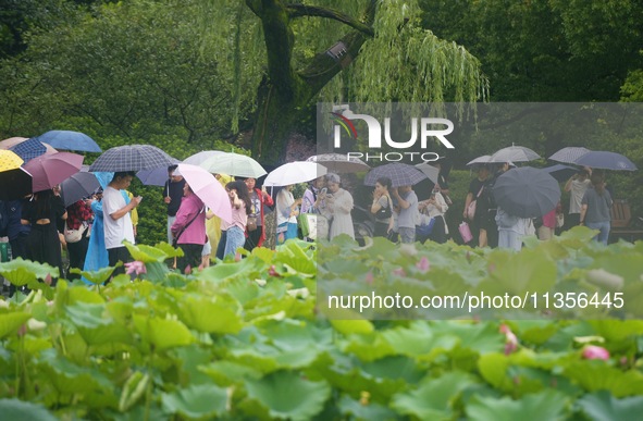 Tourists are braving the rain on the West Lake in Hangzhou, China, on June 24, 2024. On the same day, the National Meteorological Center is...