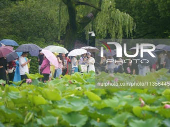 Tourists are braving the rain on the West Lake in Hangzhou, China, on June 24, 2024. On the same day, the National Meteorological Center is...