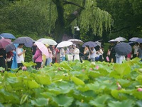 Tourists are braving the rain on the West Lake in Hangzhou, China, on June 24, 2024. On the same day, the National Meteorological Center is...