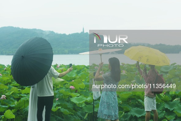 Tourists are braving the rain on the West Lake in Hangzhou, China, on June 24, 2024. On the same day, the National Meteorological Center is...