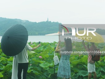 Tourists are braving the rain on the West Lake in Hangzhou, China, on June 24, 2024. On the same day, the National Meteorological Center is...